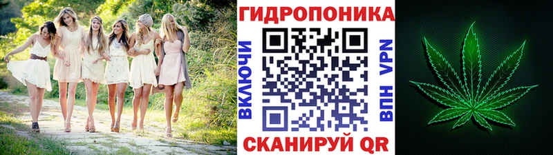 наркошоп  Димитровград  Марихуана Bruce Banner 